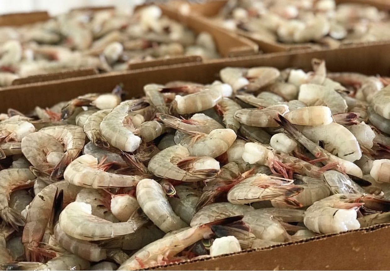 Local, Wild Caught Shrimp