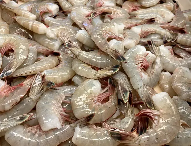 A pile of raw shrimp