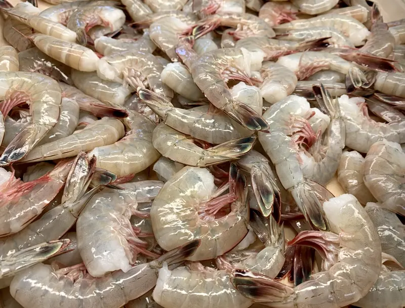 A pile of raw shrimp