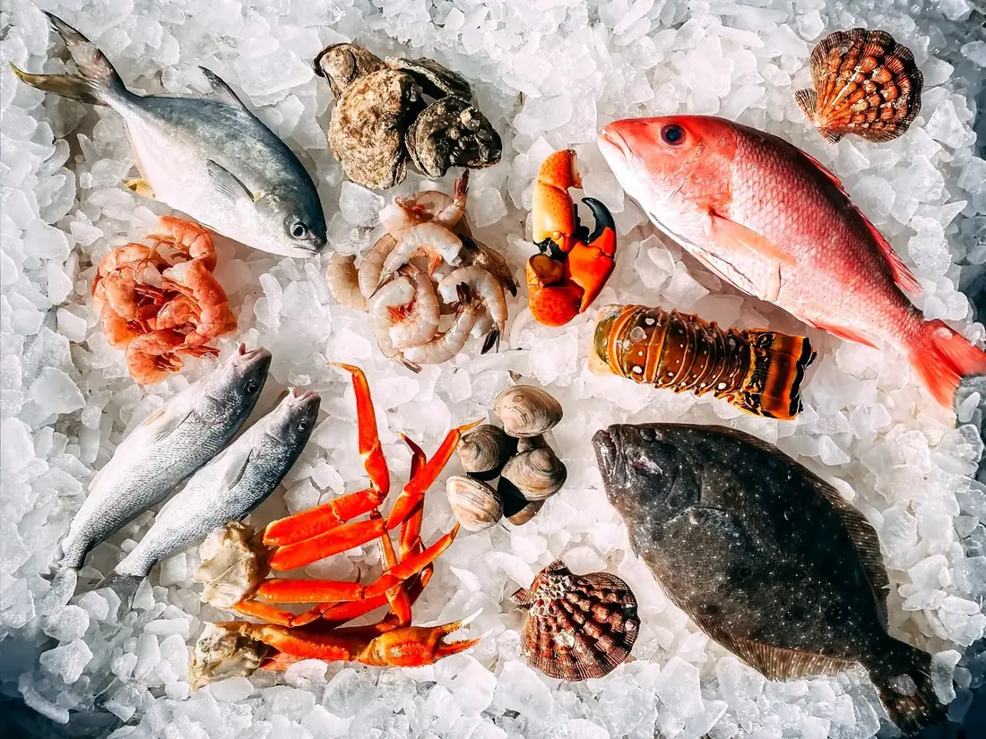 Fish, shrimp, crab claws, lobster tail, clams and scallops laid out on crushed ice